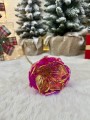 IMG_2138.jpeg