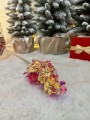 IMG_2189.jpeg