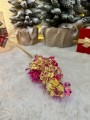 IMG_2190.jpeg
