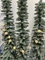 IMG_2269.jpeg