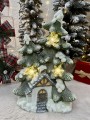 IMG_2389.jpeg