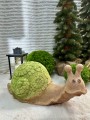 IMG_2390.jpeg