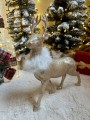 IMG_2455.jpeg