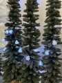 IMG_2523.jpeg