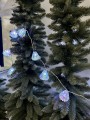 IMG_2524.jpeg