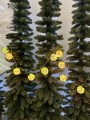 IMG_2526.jpeg