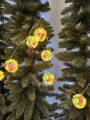 IMG_2527.jpeg