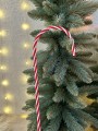 IMG_2787.jpeg