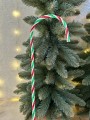IMG_2789.jpeg