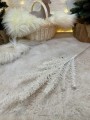 IMG_2839.jpeg