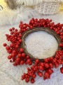 IMG_2957.jpeg