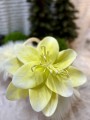 IMG_3166.jpeg