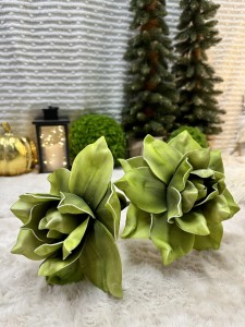 Magnolia piankowa zielona 90   