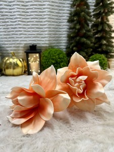 Magnolia piankowa pomarańczowa 90   