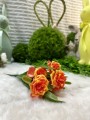 IMG_3362.jpeg