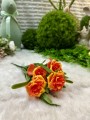 IMG_3363.jpeg