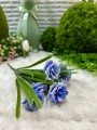 IMG_3367.jpeg