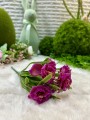 IMG_3372.jpeg