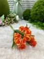 IMG_3395.jpeg