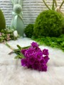 IMG_3396.jpeg