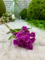 IMG_3397.jpeg