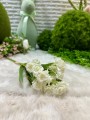IMG_3399.jpeg
