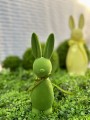 IMG_3576.jpeg