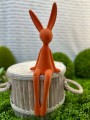 IMG_3670.jpeg