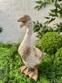 IMG_3825.jpeg