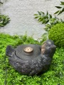 IMG_3878.jpeg