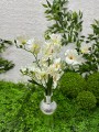 IMG_3912.jpeg