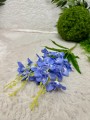 IMG_3923.jpeg