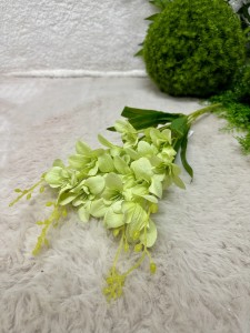 Frezja bukiet limonka 60  