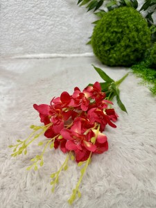 Frezja bukiet czerwony ombre  60  