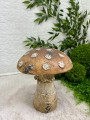 IMG_3973.jpeg
