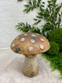 IMG_3974.jpeg