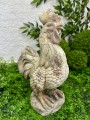 IMG_4005.jpeg