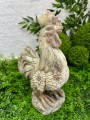 IMG_4006.jpeg