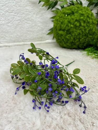 IMG_4016.jpeg