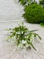 IMG_4022.jpeg