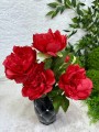 IMG_4027.jpeg