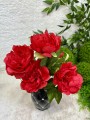 IMG_4028.jpeg