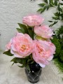 IMG_4031.jpeg