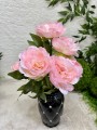 IMG_4032.jpeg