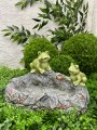 IMG_4268.jpeg