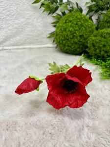 Mak czerwony 75