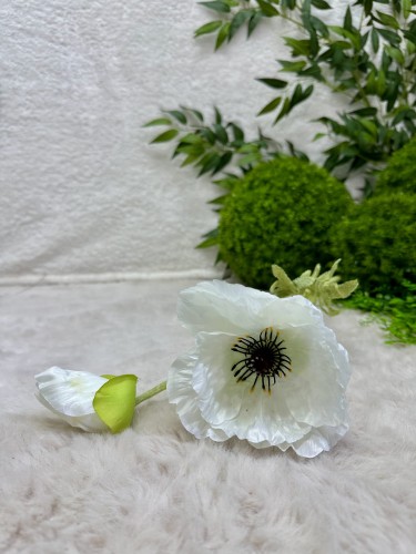 IMG_4335.jpeg