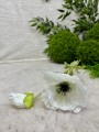 IMG_4336.jpeg