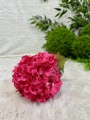 IMG_4337.jpeg