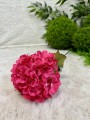 IMG_4338.jpeg